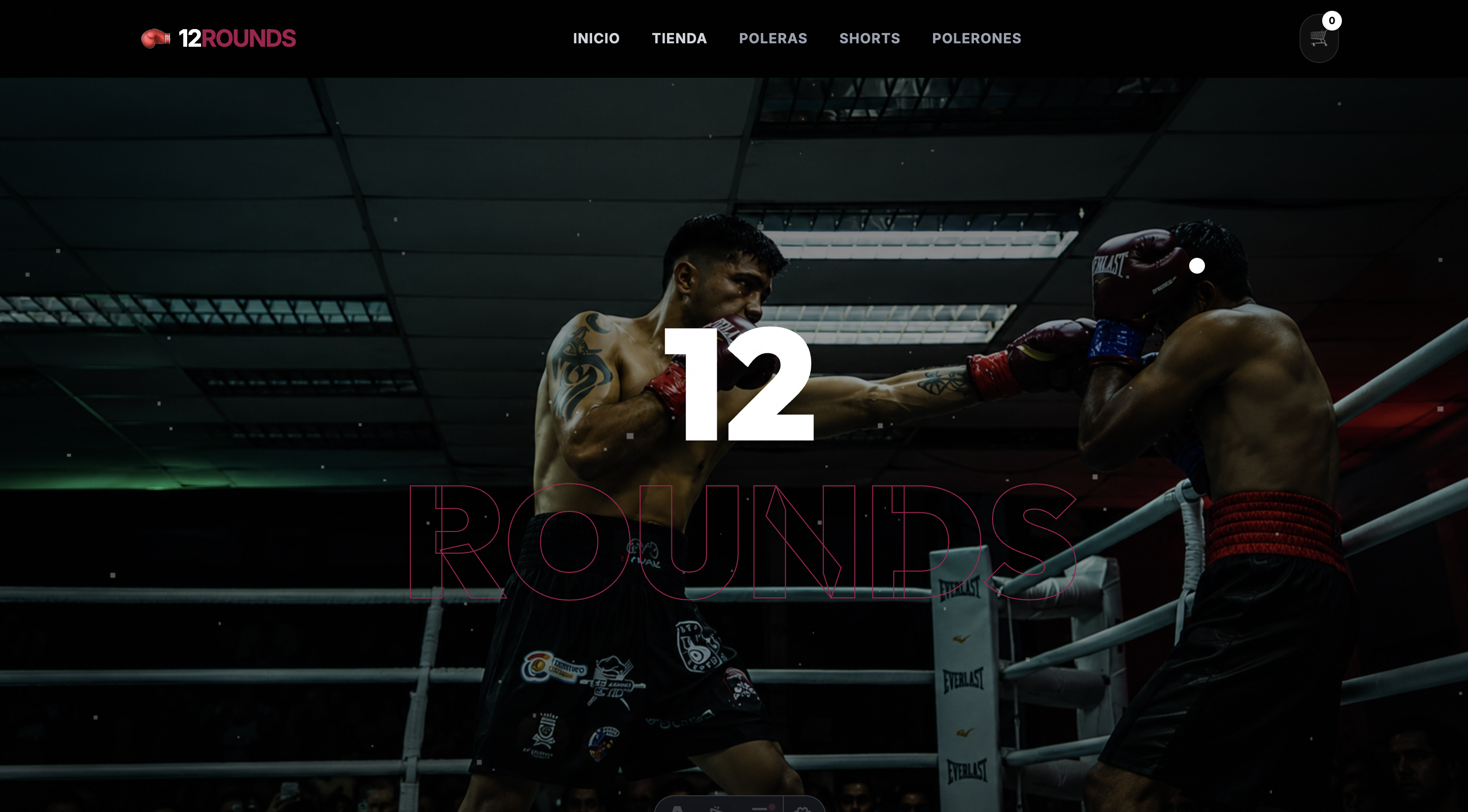 Vista previa del proyecto 12rounds.cl